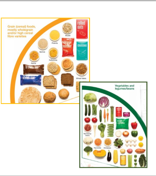<p><span>The main part of your daily diet should include these two sections.</span></p>