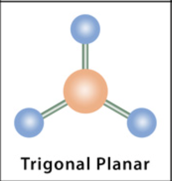 <p>Trigonal Planar </p>