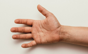 <p>palm/a-</p>