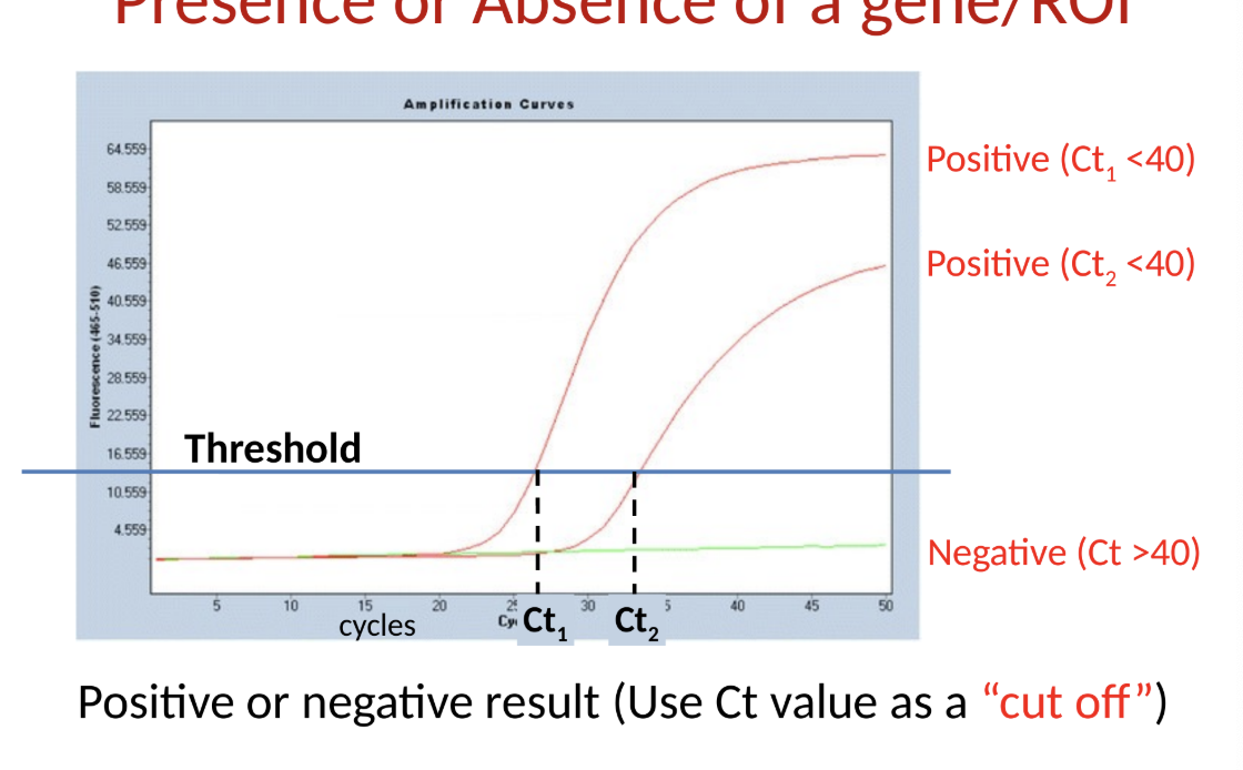 <ul><li><p>presence or absence of a gene/ROI</p></li></ul><p></p>