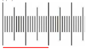<p><span style="background-color: transparent;"><strong>I take a picture of my micrometer at 40X (only part of it is visible, shown above), and measure the distance between the lines shown. This line is measured to have 300 pixels. What is the pixel/μm ratio for this 40X objective? </strong></span></p><p><span style="background-color: transparent;">(Lecture #5-6 Questions)</span></p>