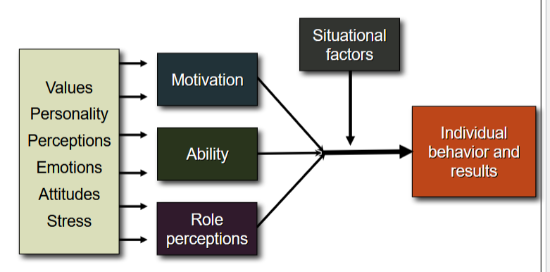 <p>the charcateristics have an impact on motivation, ability and role perceptions which come together to drive behavior </p><p></p>