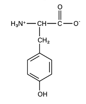 <p>non-polar aromatic</p>