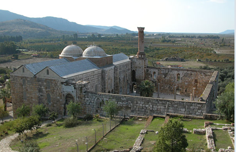 term image
