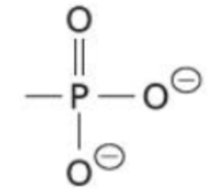 <p>A functional group consisting of a central phosphorus bonded to 3 oxygens (PO<sub>3</sub><sup>2-</sup>)</p>