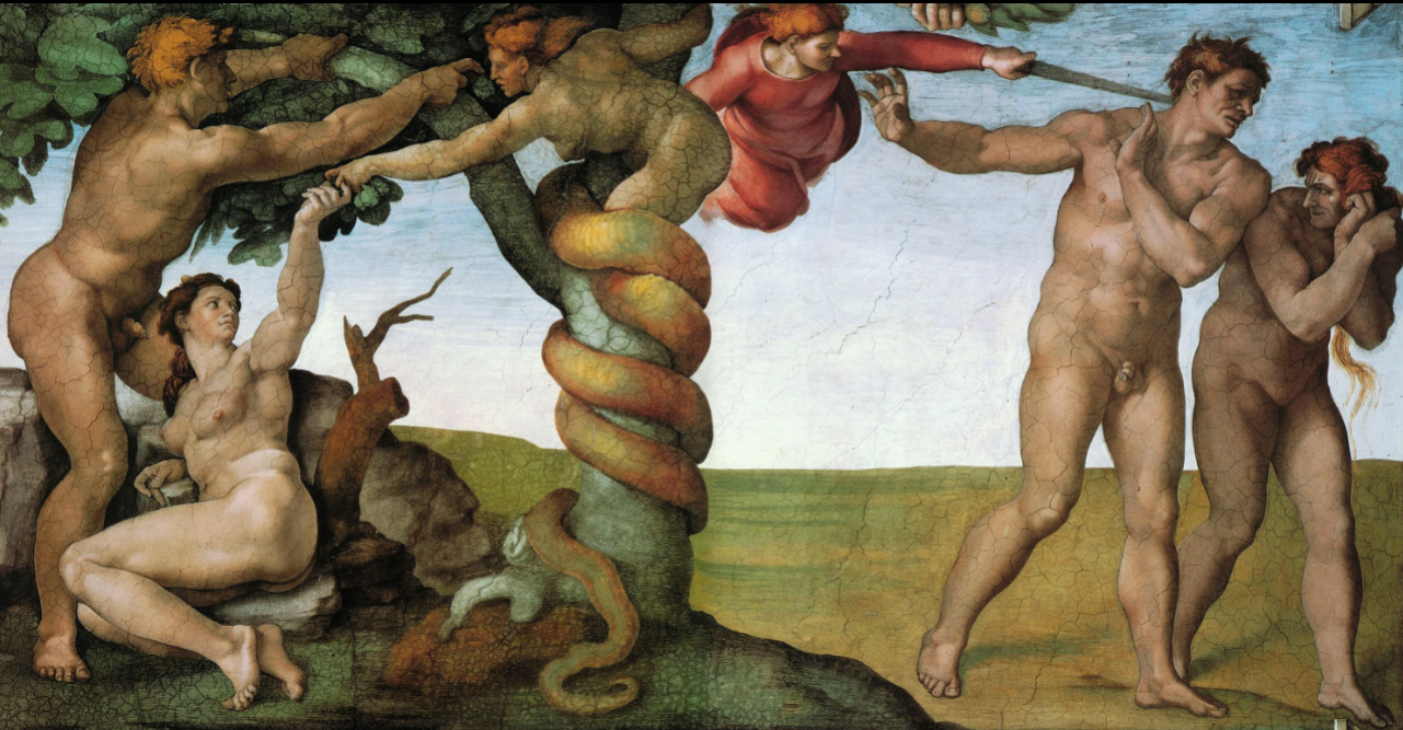 term image