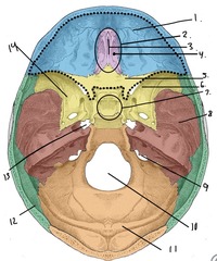 <p>What is 4</p>