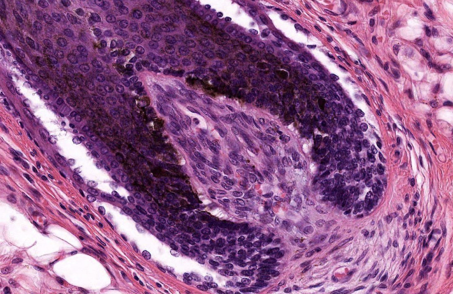 <p>Identify the Structure</p>