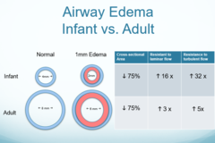 <p>-1 mm of edema in the airway can cause significant changes to our breathing</p><p>1mm Effect on Infants</p><p>-this can be scary for our infants b/c their airways are already pretty small</p><p>-when 1mm is present, it can almost render the whole airway</p><p>1mm Effect on Adults</p><p>-it is not as severe as when it happens to infants, but nevertheless it is a narrowing of the airway</p>