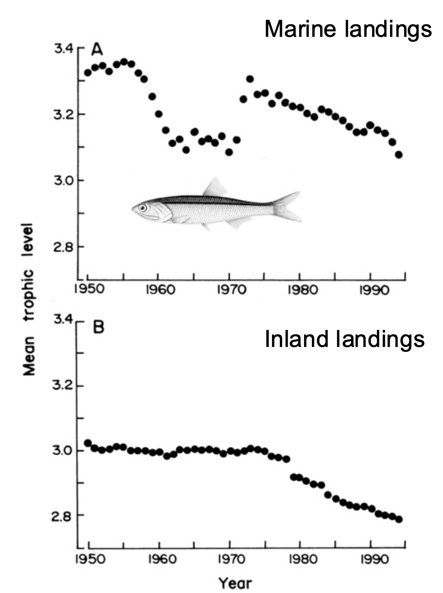 <p>Fishing down food web trend</p>