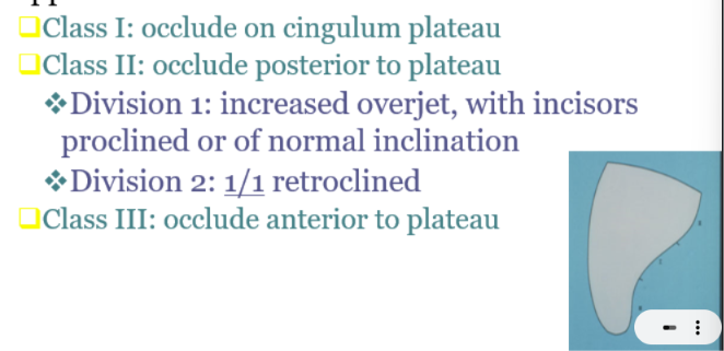 <p>overjet is normal in div 2 but teeth are retroclined which explains why the overjet is not increased and could even be reduced</p><p>div 1 - class 2 with normal inclination leads to inc overjet and made worse with proclination </p><p>class 3 - can meet at the lower incisal third or anterioir</p>