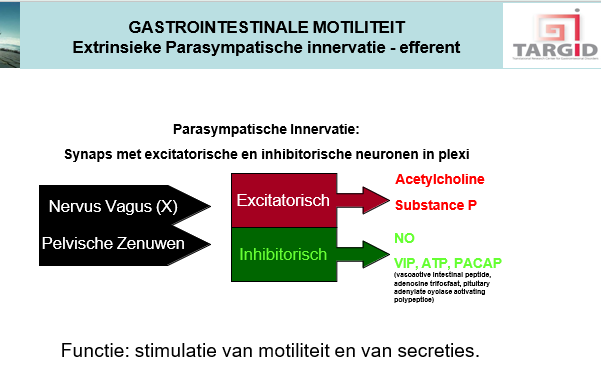 <p><span>De bezenuwingen zullen in het orgaan zelf axcitatoire en inibitoire bezenuwing uitoefenen.</span></p>