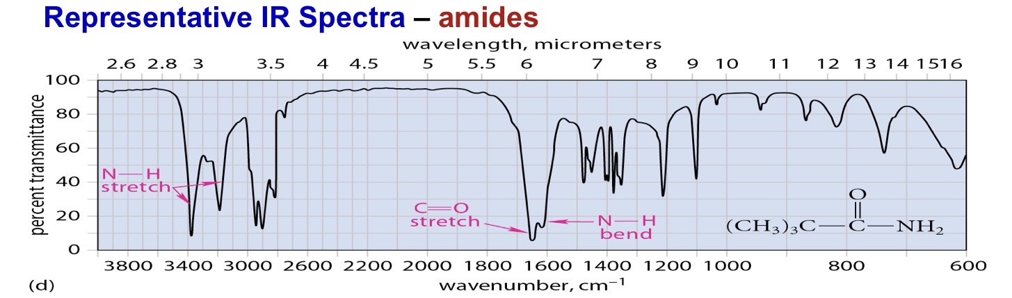 <p>Amide primary 2 stretches </p>