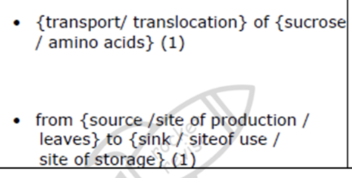 knowt flashcard image