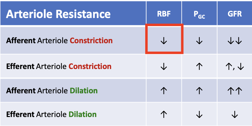 <p>RBF decreases</p>