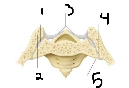<p>1</p>