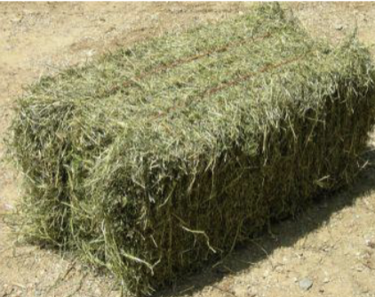 <ol><li><p>Harvest</p></li><li><p>Curing</p></li><li><p>Raking</p></li><li><p>Storage</p></li></ol><p></p>