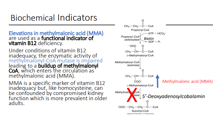 <p>kidney function which is more prevalent in older adults.</p>