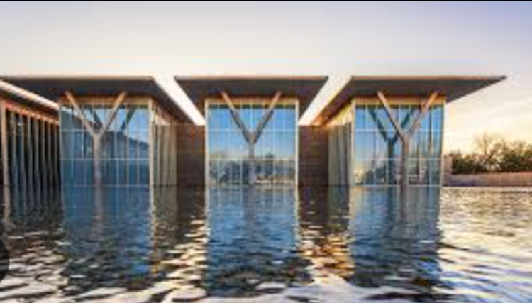 <p>Modern Art Museum (Fort Worth)</p>