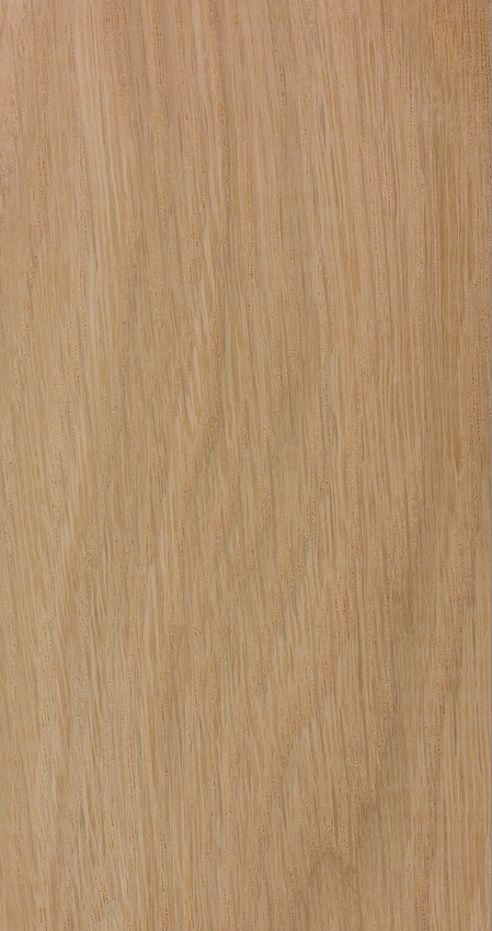 <p>ring porous </p><p>thick rays easily visible to the naked eye </p><p>ray flecks ½ to 2” long on tangential surface </p><p>tan/gray cast to heartwood, vessel tyloses numerous </p><p>latewood vessels in “flame tracts” </p>