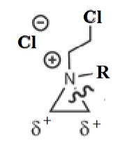<p>what structure is this?</p>