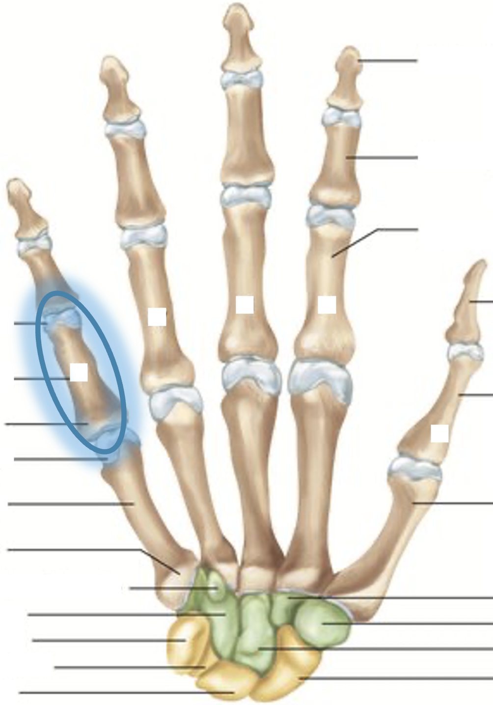 term image