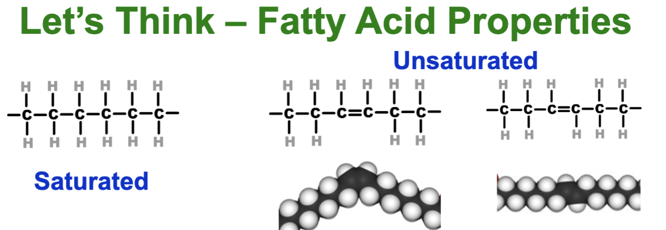 <p>which is a trans or cis configuration?</p>
