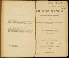 <p>The Origin of Species</p>
