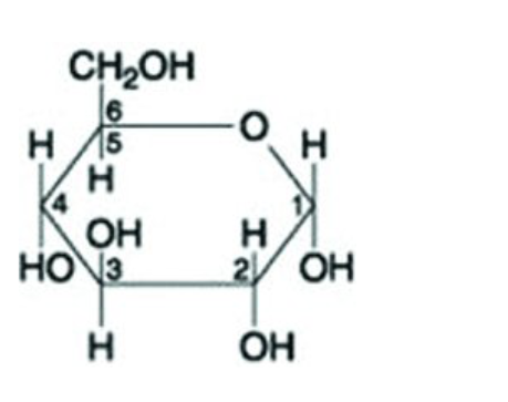 <p><span>Use the following figure to answer the question.</span><br></p><p>What is the molecule represented by the figure above?</p><p> </p><p>maltose</p><p> </p><p>a hexose</p><p> </p><p>a pentose</p><p> </p><p>fructose</p>