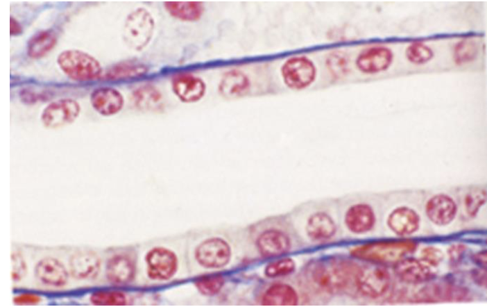 <p>what is this image of?</p>