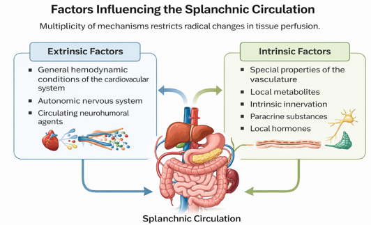 <p><span>Intrinsic factors are internal elements originating from within an individual, system, or organism (e.g., genetics, age, personal motivation), while extrinsic factors are external forces acting from the outside (e.g., environment, rewards, societal pressures</span></p>