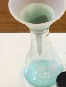 <p>How do we know that the charcoal didn’t pass through </p>