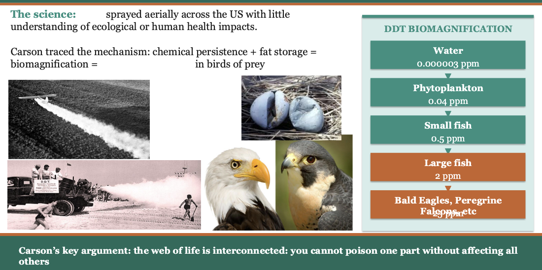 <p><span style="color: rgb(255, 250, 250);">Rachel Carson and the birth of modern environmentalism </span></p><ul><li><p><span style="color: rgb(255, 250, 250);">The science: DDT sprayed aerially across the US with little understanding of ecological or human health impacts.</span></p></li><li><p><span style="color: rgb(255, 250, 250);">Carson traced the mechanism: chemical persistence + fat storage =<br>biomagnification = EGGSHELL THINNING in birds of prey</span></p></li></ul><p></p>