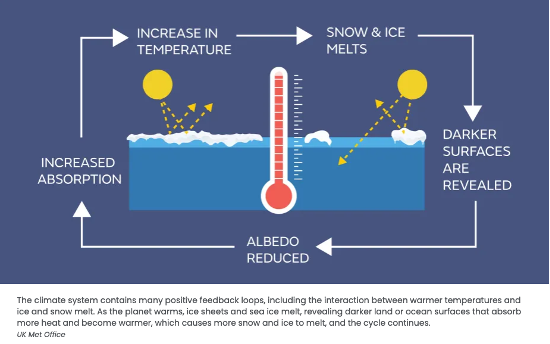 <p>The positive feedback loop between global warming and melting ice:</p>
