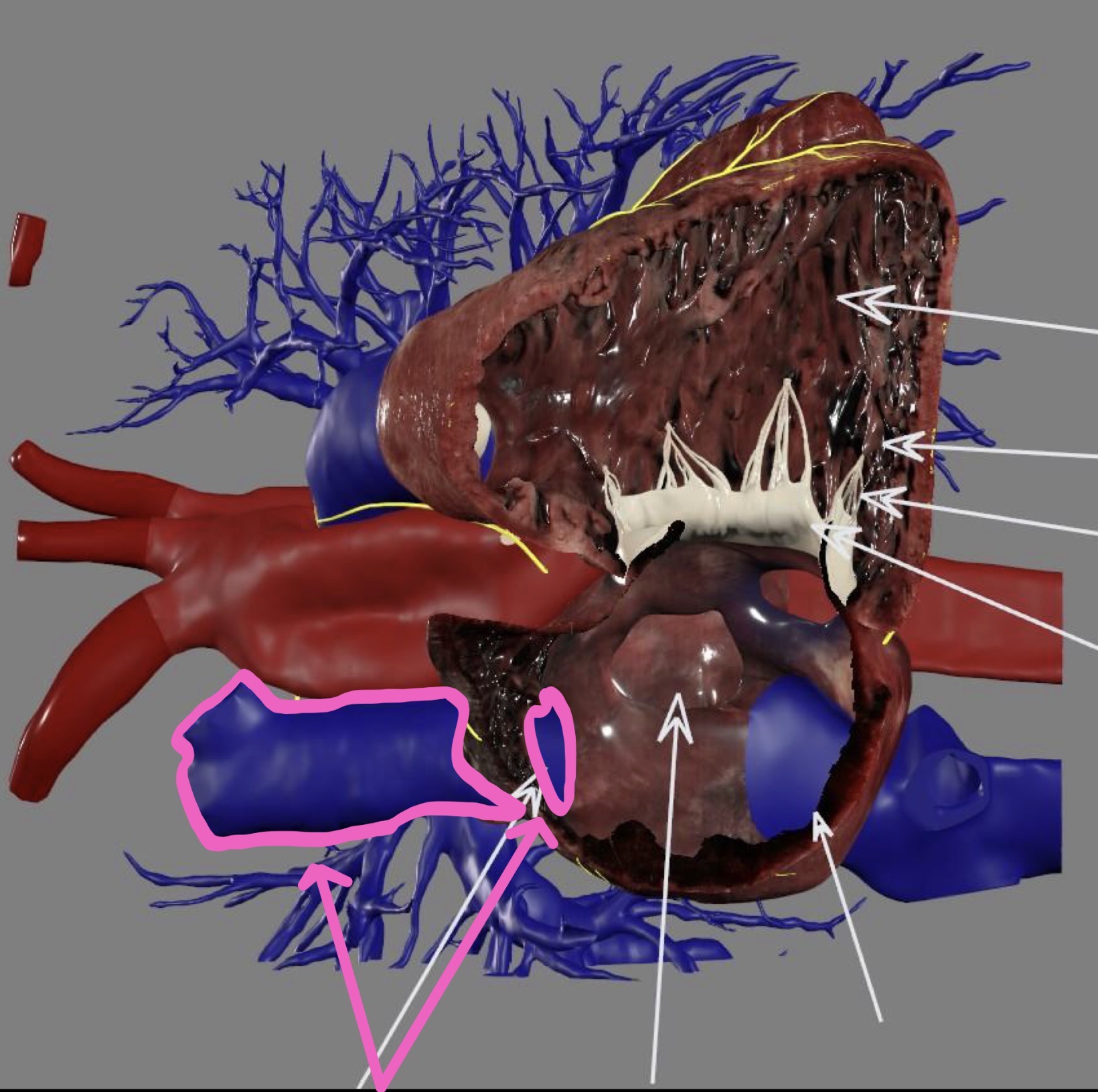 <p>What’s the highlighted area?</p>