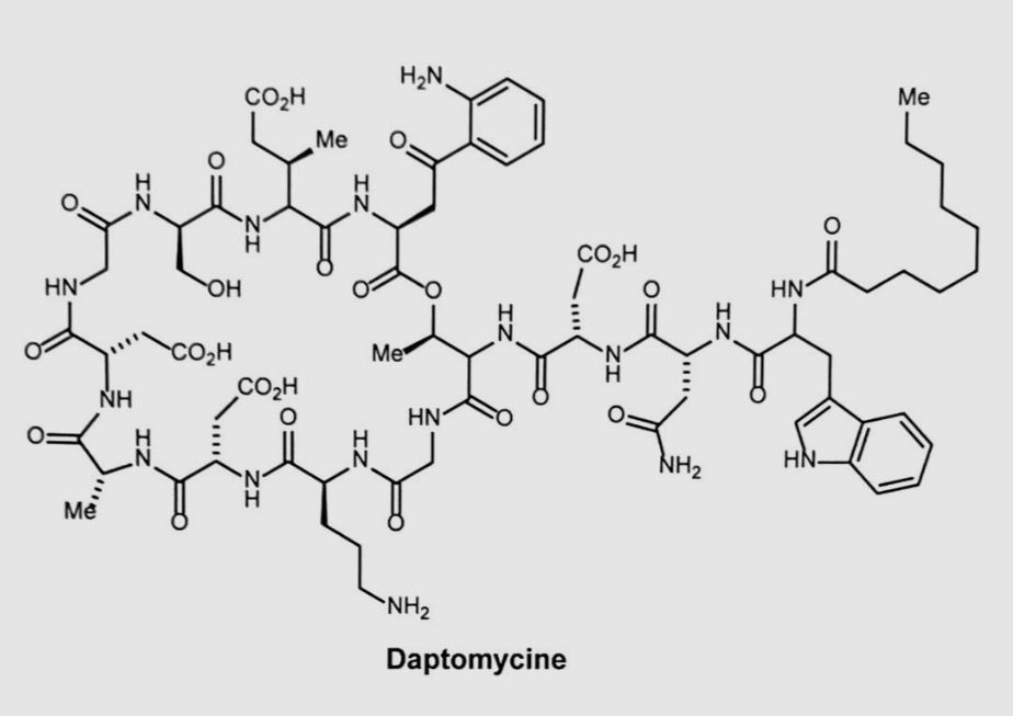 <p>Classe antibiotique </p><p>nom du genre de l’antibiotique producteur </p><p>Nom de l’élément chimique pour exercer son mécanisme d’action c’est à dire dépolarise la membrane plasmique par formation d’un canal ionique </p>
