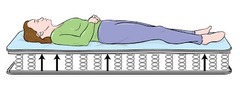 <p>nệm cứng</p>