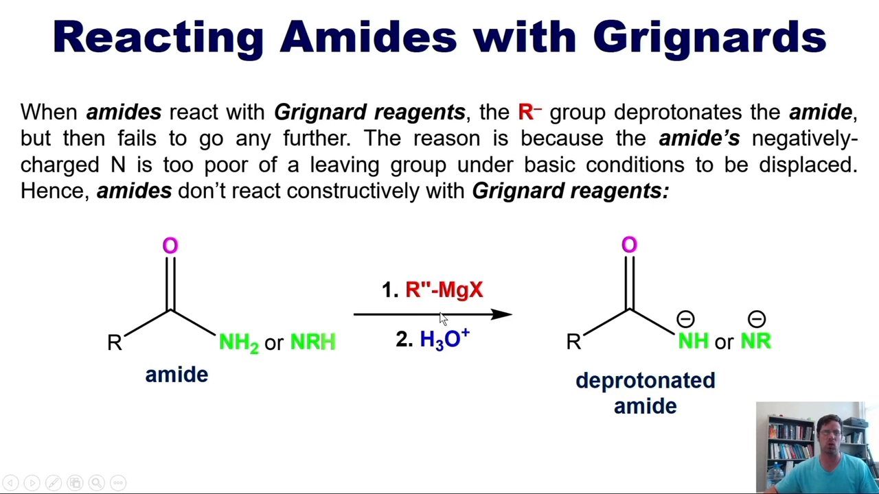 <p>The Amide is deprotenated once, but nothing else happens </p>