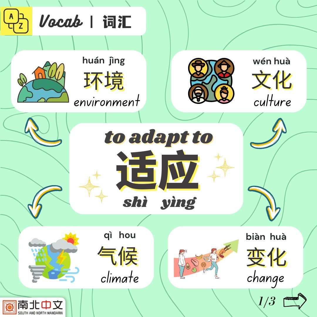 <p>适应（shì yìng）</p>