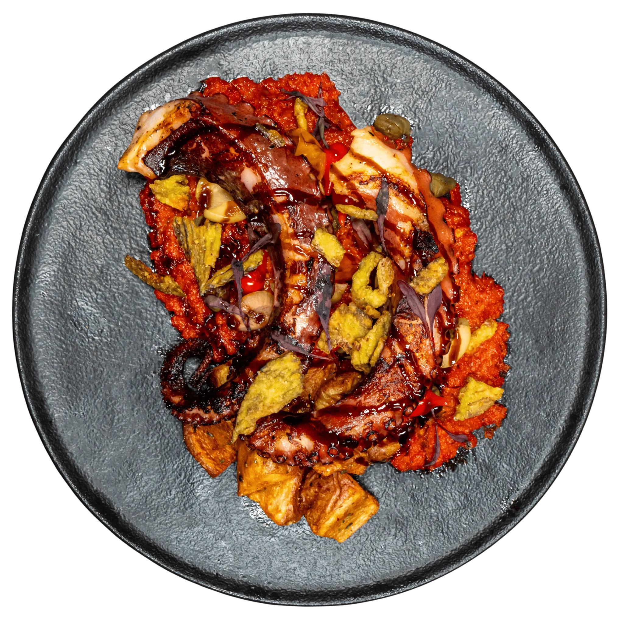 <p>PULPO</p>