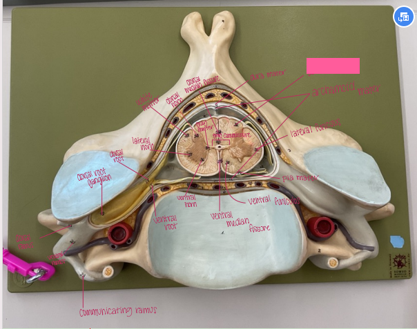 <p>What is being shown? </p>