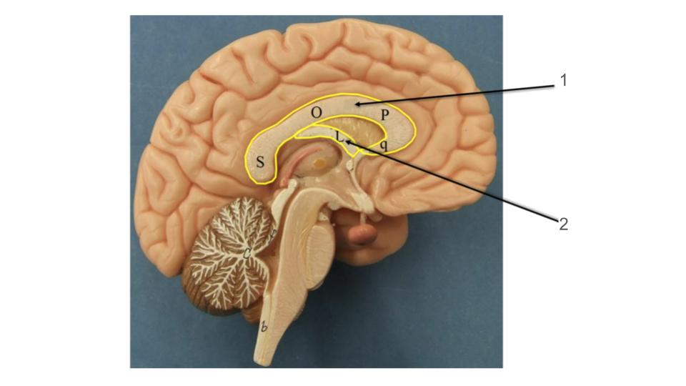 <p>2, structure</p>