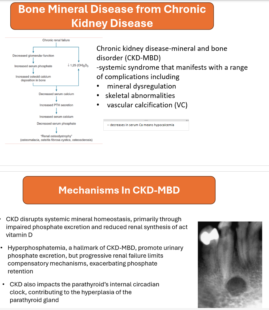 <p>Hypocalcemia</p><p>CKD → ↓ active vitamin D → ↓ Ca²⁺. </p>