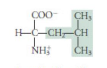 <p>hydrophobic</p>
