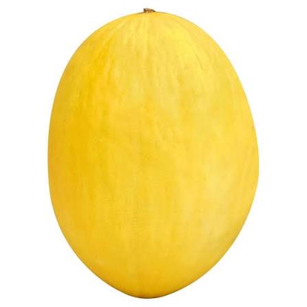 <p>Juan canary melon</p>