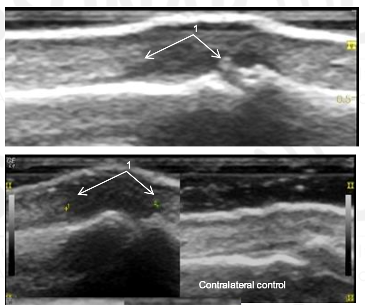 <p>What is this?</p>