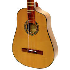 <p>What instrument is this? </p>