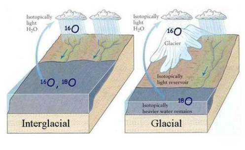 <p>Oxygen in sea water exists in three different, stable isotopic states: δ18O, δ17O and δ16O. Of these δ16O is by far the most common, followed by δ18O and finally δ17O . Because δ16O is isotopically lighter it is preferentially evaporated from the oceans. In cold stages δ16O becomes trapped in ice sheets, changing the ratio between δ16O and δ18O</p>