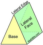 <p>The side faces of a shape, not including the base.</p>