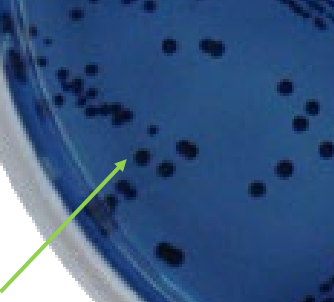 <p>test and result</p>